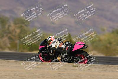 media/Nov-12-2023-SoCal Trackdays (Sun) [[5d1fba4e7d]]/Turn 3 Inside Speed Pans (135pm)/